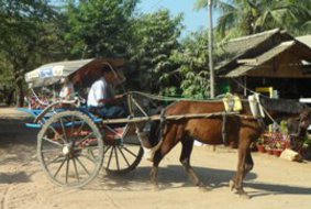 Burma Horse Cart